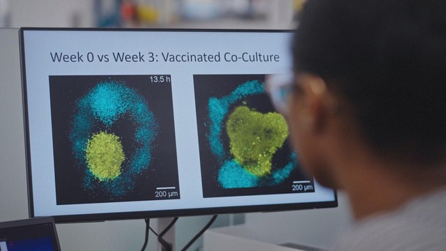 Tiêm vắc-xin COVID-19, nhiều bệnh nhân tăng đề kháng khối ung thư - Ảnh 1.