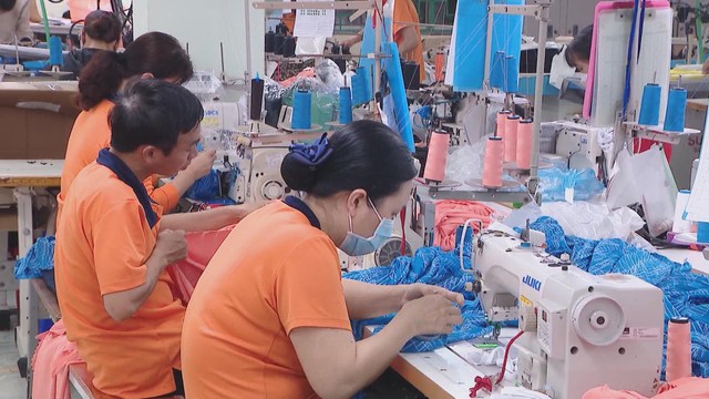 Đề xuất giải pháp khuyến khích tăng mức sinh tại TP. Hồ Chí Minh - Ảnh 2.