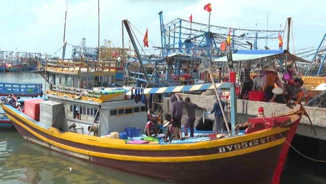 TP. Hồ Chí Minh: Tăng cường giám sát, đẩy mạnh tuyên truyền quyết liệt chống IUU- Ảnh 2. TP. Hồ Chí Minh: Tăng cường giám sát, đẩy mạnh tuyên truyền quyết liệt chống IUU- Ảnh 2.