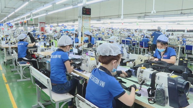 Kinh tế TP. Hồ Chí Minh khởi sắc, doanh nghiệp đẩy mạnh sản xuất cuối năm - Ảnh 3.