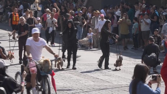 Mexico kỷ niệm 20 năm lễ hội múa rối - Ảnh 5.