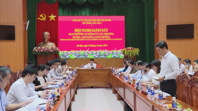 TP. Hồ Chí Minh: Đoàn công tác làm việc về mô hình chính quyền địa phương hai cấp tại các phường thuộc TP. Bà Rịa - Ảnh 1.