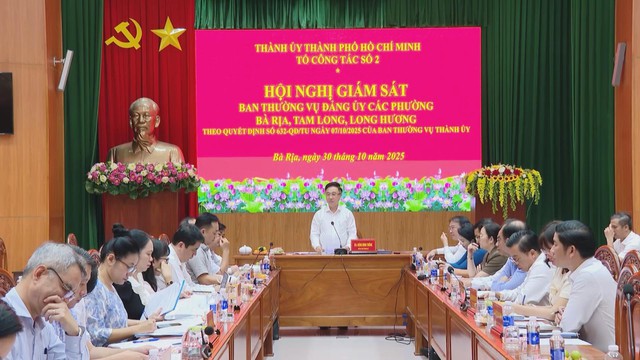 TP. Hồ Chí Minh: Đoàn công tác làm việc về mô hình chính quyền địa phương hai cấp tại các phường thuộc TP. Bà Rịa - Ảnh 3.