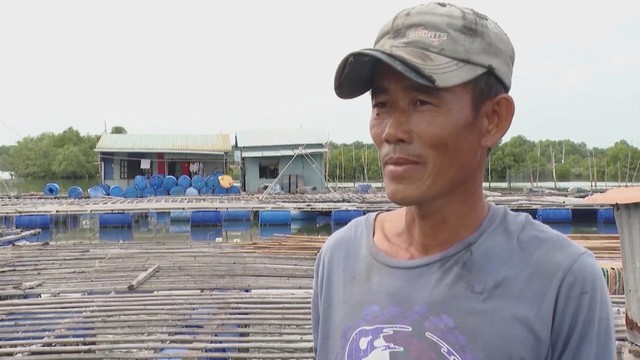 Phát triển bền vững nghề nuôi thủy sản lồng bè trên sông - Ảnh 5.