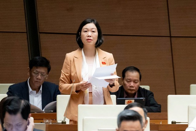 Quốc hội thảo luận ở hội trường về 2 dự thảo luật thuộc lĩnh vực tư pháp - Ảnh 7.