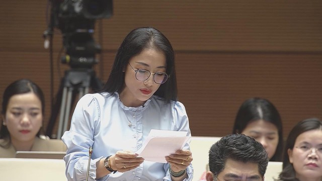 Quốc hội thảo luận về dự án Luật sửa đổi, bổ sung một số điều của Luật Giá  - Ảnh 2.