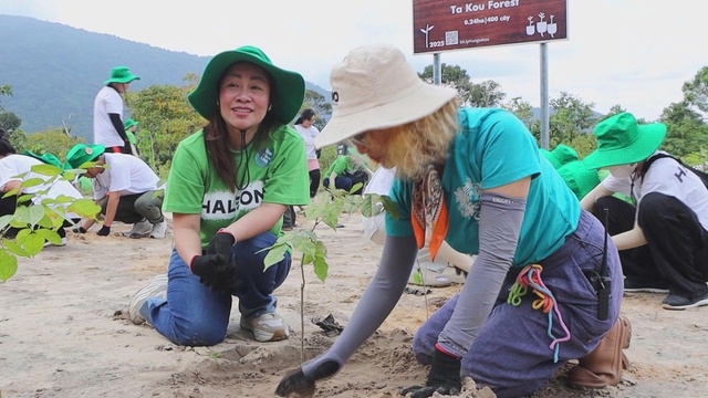 Haleon Việt Nam góp sức phủ xanh khu bảo tồn thiên nhiên Tà Cú - Ảnh 2.