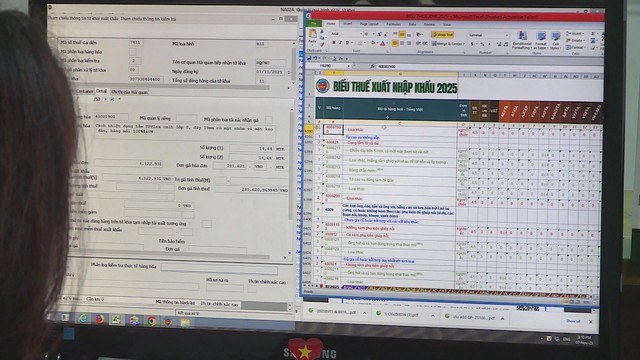 Hiện đại hóa hải quan - Bệ phóng cho hệ sinh thái công nghệ cao TP. Hồ Chí Minh - Ảnh 4.