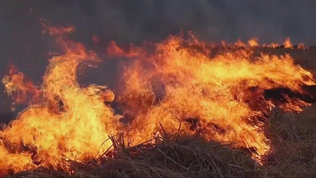 Ấn Độ đối mặt với tình trạng ô nhiễm không khí vào mùa Đông- Ảnh 2.