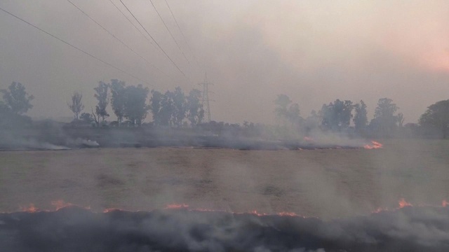 Ấn Độ đối mặt với tình trạng ô nhiễm không khí vào mùa Đông- Ảnh 1.