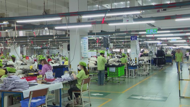 TP. Hồ Chí Minh đối thoại doanh nghiệp về chính sách bảo hiểm - Ảnh 3.