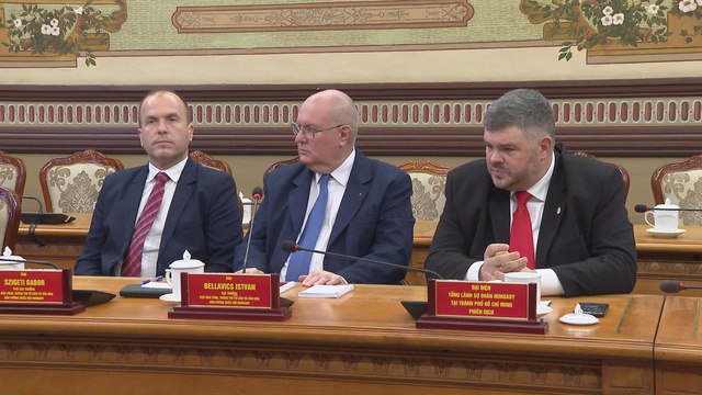 TP. Hồ Chí Minh đẩy mạnh hợp tác về văn hóa, du lịch, bảo tàng, thư viện, giáo dục với Hungary - Ảnh 1.