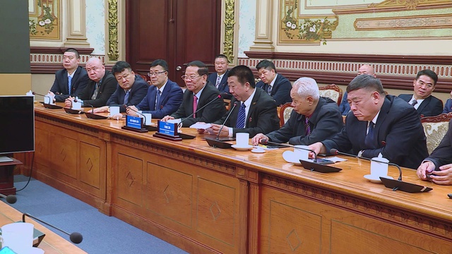 Phó Chủ tịch UBND TP. Hồ Chí Minh Nguyễn Lộc Hà tiếp đoàn lãnh đạo các tập đoàn của Trung Quốc - Ảnh 3.