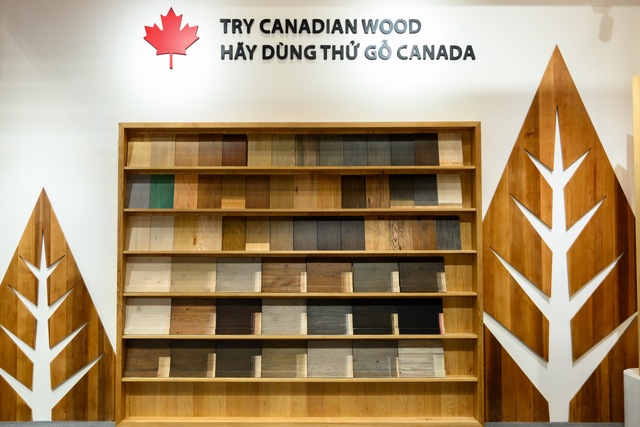 Canadian Wood Việt Nam giới thiệu giải pháp gỗ mềm tại triển lãm VietnamWood 2025 - Ảnh 2.