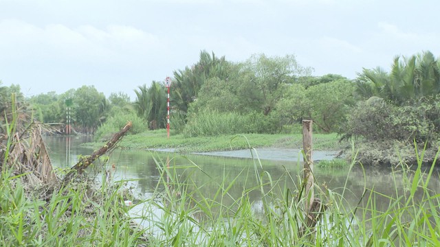 TP. Hồ Chí Minh: Chi hơn 17.000 tỷ đồng "hồi sinh" rạch Bà Lớn và rạch Ông Bé - Ảnh 3.