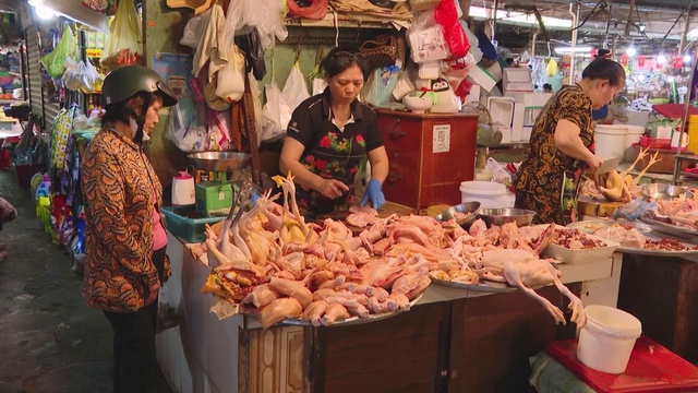 Vươn khơi - Ngày 23/11/2025 | Chuyển động đời sống và phát triển hạ tầng tại khu vực phía Nam- Ảnh 1.