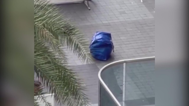 60 Giây ngày 24/11/2025 I Án mạng rúng động: Thi thể trong túi hành lý ở sảnh chung cư - Ảnh 1.