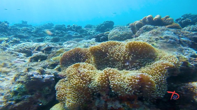 "Mưa đỏ" thắng lớn với 5 giải tại Liên hoan phim Việt Nam lần thứ 24 - Ảnh 13.