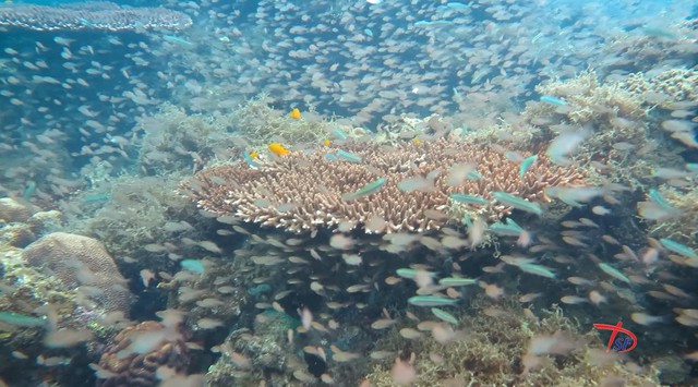 "Mưa đỏ" thắng lớn với 5 giải tại Liên hoan phim Việt Nam lần thứ 24 - Ảnh 8.