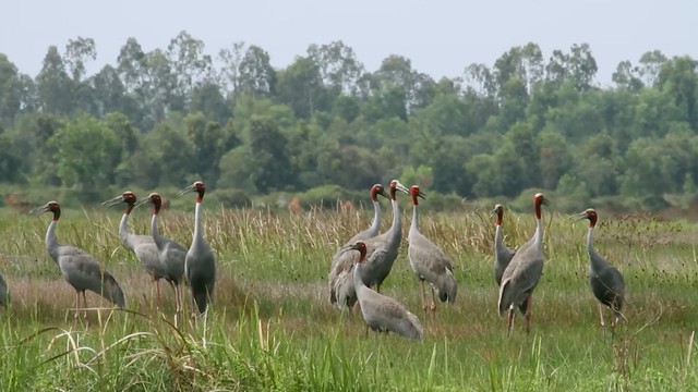 "Mưa đỏ" thắng lớn với 5 giải tại Liên hoan phim Việt Nam lần thứ 24 - Ảnh 53.
