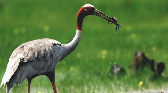 "Mưa đỏ" thắng lớn với 5 giải tại Liên hoan phim Việt Nam lần thứ 24 - Ảnh 26.