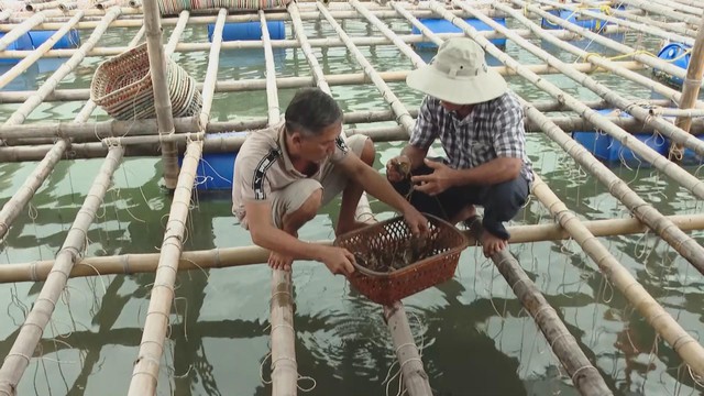 Vươn khơi - Ngày 25/11/2025 | Những cung đường Marathon tuyệt đẹp ở phía Đông TP.HCM - Ảnh 3.