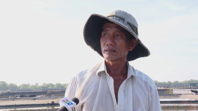 Mưa kéo dài, diêm dẫn trễ vụ muối - Ảnh 2.