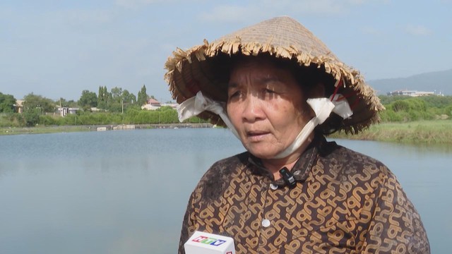 Mưa kéo dài, diêm dẫn trễ vụ muối - Ảnh 3.