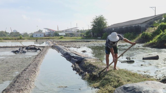 Mưa kéo dài, diêm dẫn trễ vụ muối - Ảnh 5.