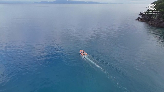 Australia thử nghiệm hệ thống robot thuyền A.I. - Ảnh 1.