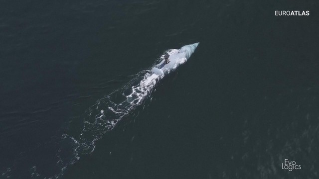 Đức phát triển phương tiện tự hành dưới nước- Ảnh 2.