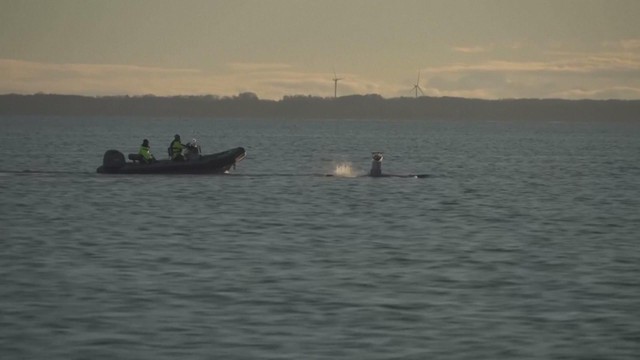 Đức phát triển phương tiện tự hành dưới nước- Ảnh 3.