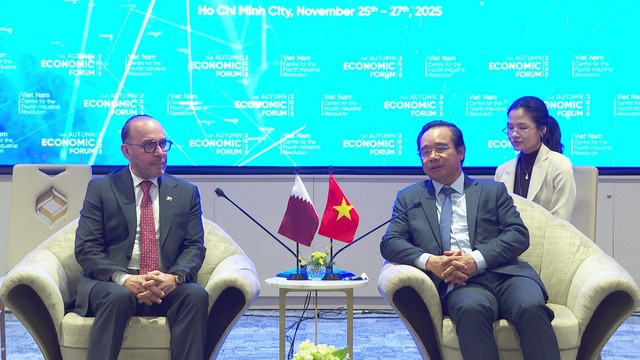 TP.HCM tăng cường hợp tác với Qatar hướng tới phát triển kinh tế – đổi mới sáng tạo - Ảnh 2.