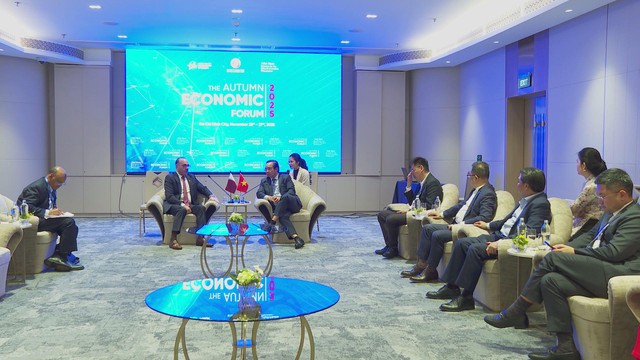 TP.HCM tăng cường hợp tác với Qatar hướng tới phát triển kinh tế – đổi mới sáng tạo - Ảnh 3.