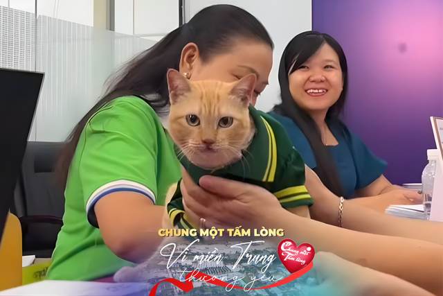 Mèo Mika “trưởng chuồng gấu” của Thảo Cầm Viên ủng hộ 80 triệu đồng cho đồng bào lũ lụt miền Trung - Ảnh 3.