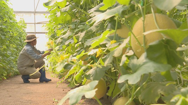 Vươn khơi - Ngày 29/11/2025 | Gỡ điểm nghẽn trong luật thuế giá trị gia tăng - Ảnh 2.