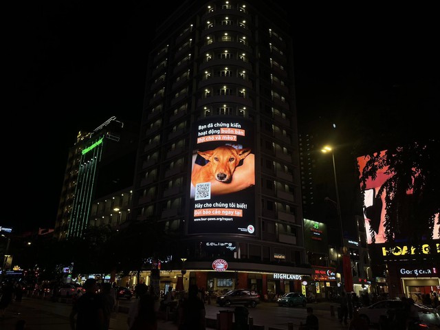 NewZround: Báo cáo sự tàn ác - Giúp chấm dứt buôn bán thịt chó và mèo - Ảnh 6.