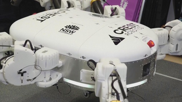 Charlotte - Robot làm nhà không cần gạch, xi-măng - Ảnh 1.