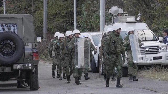 Báo động tình trạng gấu tấn công người ở Nhật Bản - Ảnh 1.