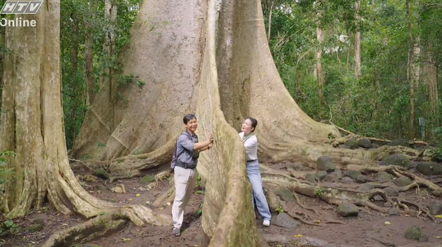 Việt Nam đi là ghiền - Mùa 4 - Tập 30: Vườn quốc gia Cát Tiên - Ảnh 1.