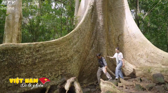 Việt Nam đi là ghiền - Mùa 4 - Tập 30: Có hẹn với vườn quốc gia Cát Tiên- Ảnh 1. Việt Nam đi là ghiền - Mùa 4 - Tập 30: Có hẹn với vườn quốc gia Cát Tiên- Ảnh 1.