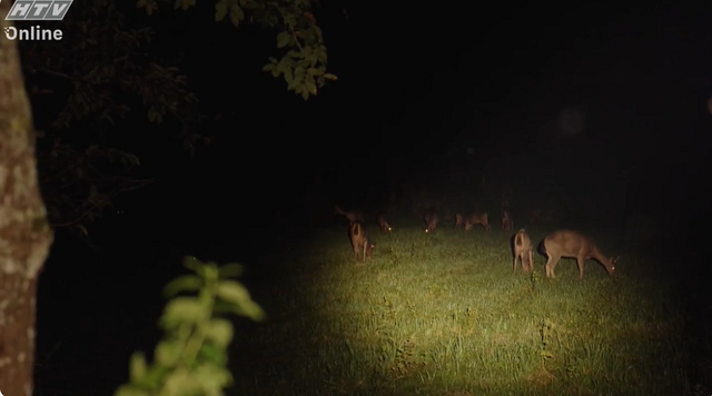 Việt Nam đi là ghiền - Mùa 4 - Tập 30: Có hẹn với vườn quốc gia Cát Tiên- Ảnh 3. Việt Nam đi là ghiền - Mùa 4 - Tập 30: Có hẹn với vườn quốc gia Cát Tiên- Ảnh 3.