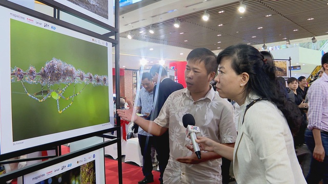 "Vũ điệu từ thiên nhiên" 2025: Triển lãm ảnh đa dạng sinh học ngoạn mục tại TP. Hồ Chí Minh- Ảnh 7. "Vũ điệu từ thiên nhiên" 2025: Triển lãm ảnh đa dạng sinh học ngoạn mục tại TP. Hồ Chí Minh- Ảnh 7.