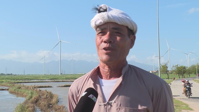 Tỉnh Khánh Hòa khôi phục sản xuất nông nghiệp sau mưa lũ - Ảnh 1.