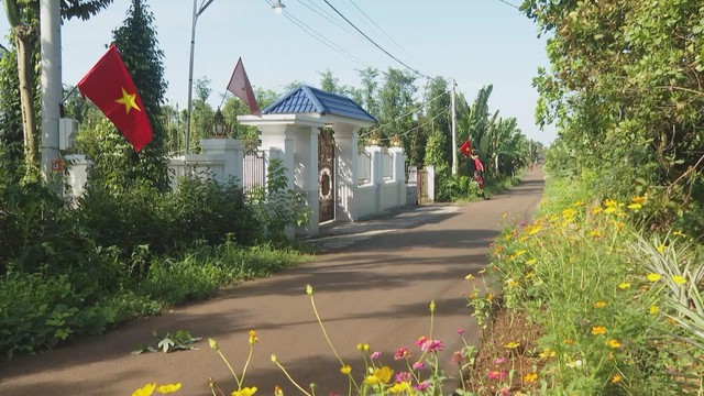 Vươn khơi - Ngày 12/12/2025 | Phường Vũng Tàu xử lý dứt điểm nạn buôn bán hàng rong tại công viên nghìn tỷ - Ảnh 4.