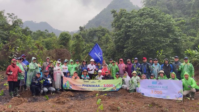 Trồng rừng đầu nguồn hướng tới giảm rủi ro thiên tai và biến đổi khí hậu- Ảnh 1.