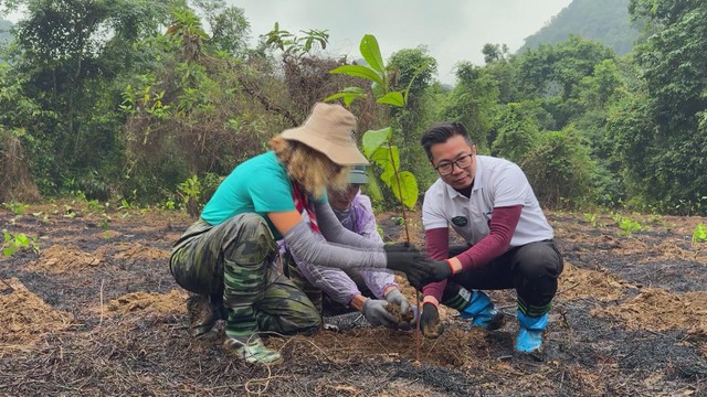 Trồng rừng đầu nguồn hướng tới giảm rủi ro thiên tai và biến đổi khí hậu- Ảnh 3.