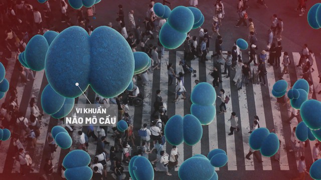 Thời sự HTV ngày 14/12/2025 | Bệnh não mô cầu đang gia tăng trở lại- Ảnh 1. Thời sự HTV ngày 14/12/2025 | Bệnh não mô cầu đang gia tăng trở lại- Ảnh 1.