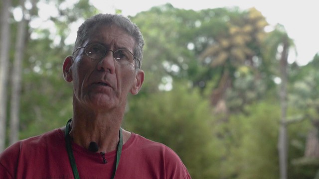 Brazil: Những cây cọ nở hoa lần đầu tiên, và cuối cùng trong đời- Ảnh 3. Brazil: Những cây cọ nở hoa lần đầu tiên, và cuối cùng trong đời- Ảnh 3.