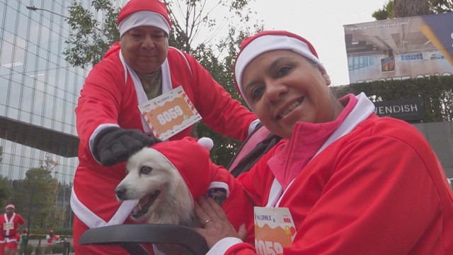 Hàng ngàn người tham gia giải chạy Santa Run ở Mexico - Ảnh 1.
